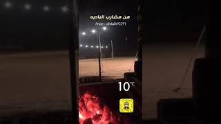 من مضارب الباديه سناب عبدالله الروقي