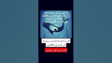#سورة الأنبياء،#quran،تلاوه تريح القلب،#tiktokviral، اسلام صبحي، #explore،القران الكريم، سكينه وهدوؤ