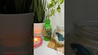 Don’t Throw Away Medicine Bottles! 😍 Turn Them Into Beautiful Home Decor in Minutes 🌸✨#upcycling