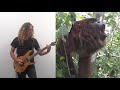 Howler Monkey Goes Metal