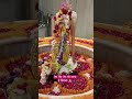 पग पग बाबा तूने मुझको संभाला 💐बाबा जी मेरे संग रहना🙏🚩