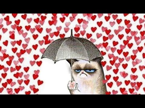 valentines-day-funny-memes-collection