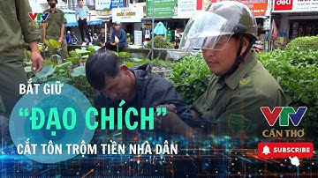 Bắt giữ đối tượng cắt tôn trộm đi 30 triệu đồng | VTV CẦN THƠ