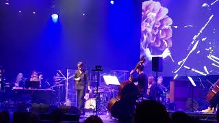 Brett Anderson &amp; Paraorchestra - Unsung 24/04/24 live Roundhouse London 2024