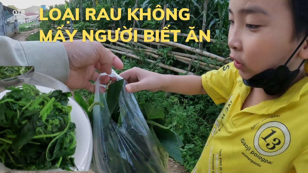CÁCH LÀM VÀ ĂN RAU DỀN GAI KÈM DỀN TÀU RAU RỆU - YouTube