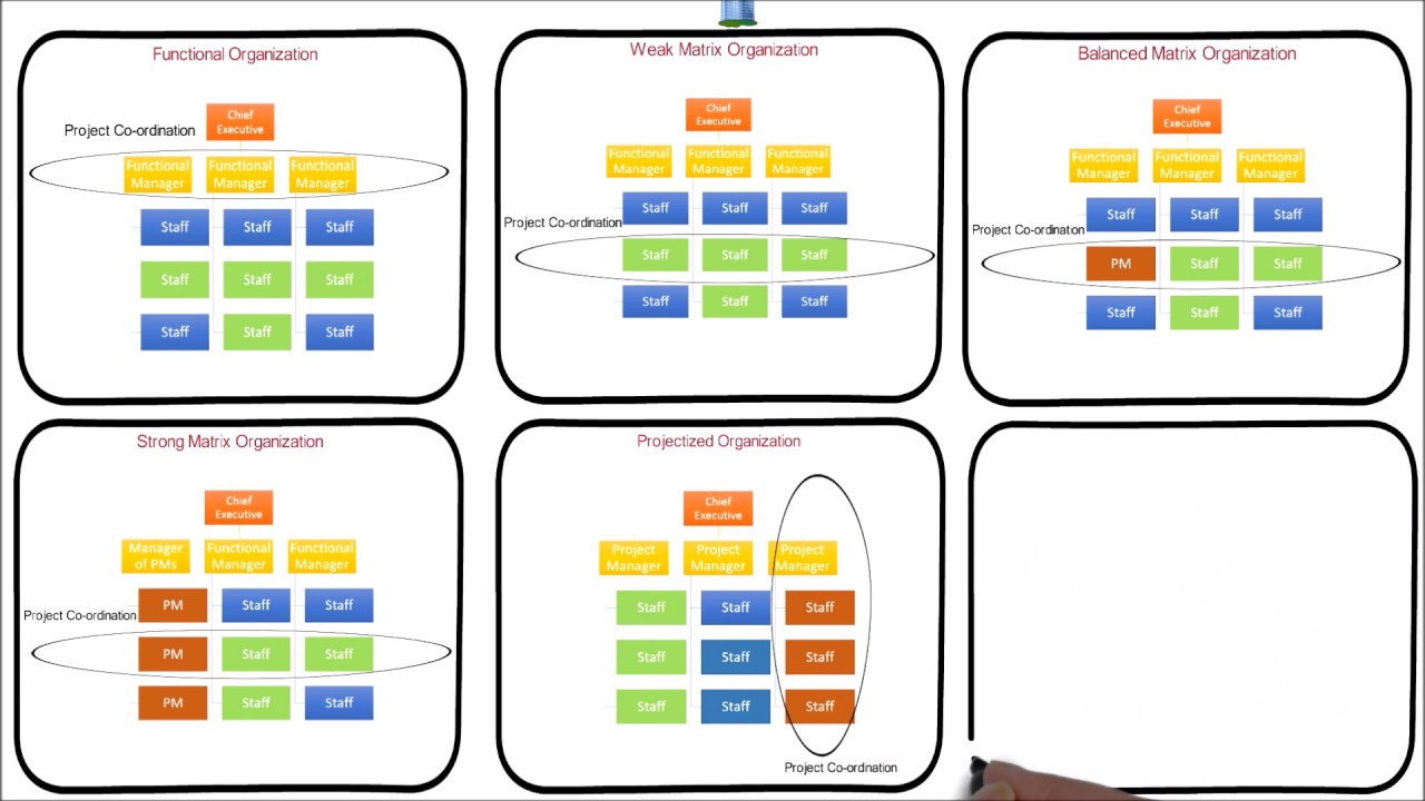 Projectized Organization Chart