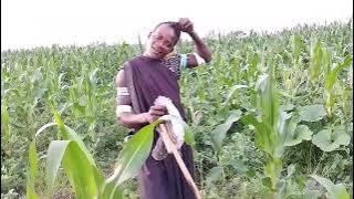 NDAMA.JIGUSHILAGA.LIMBU.LUCHAGULA.20.1.2025