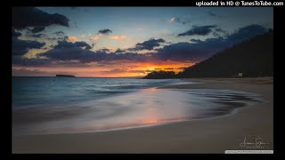 Dave Andres & Demetra - Tropicana