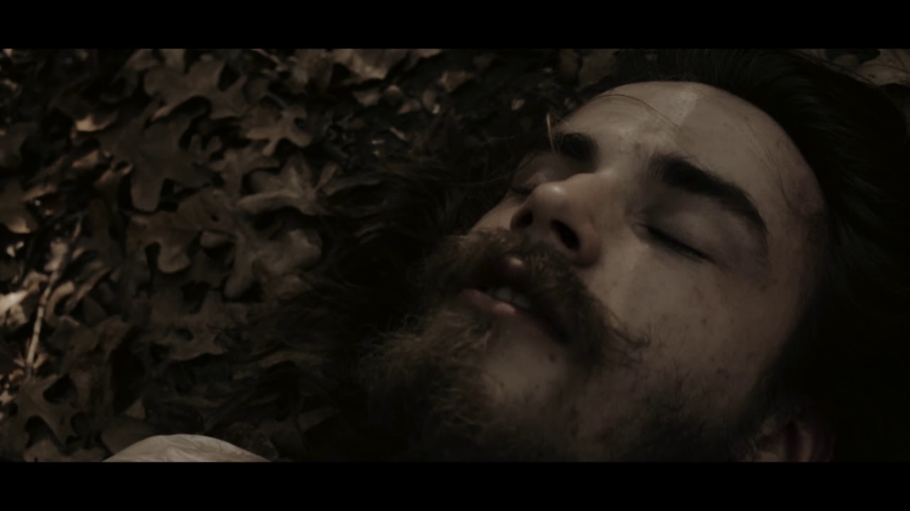 Hollowed Out - Bombshell (2017)