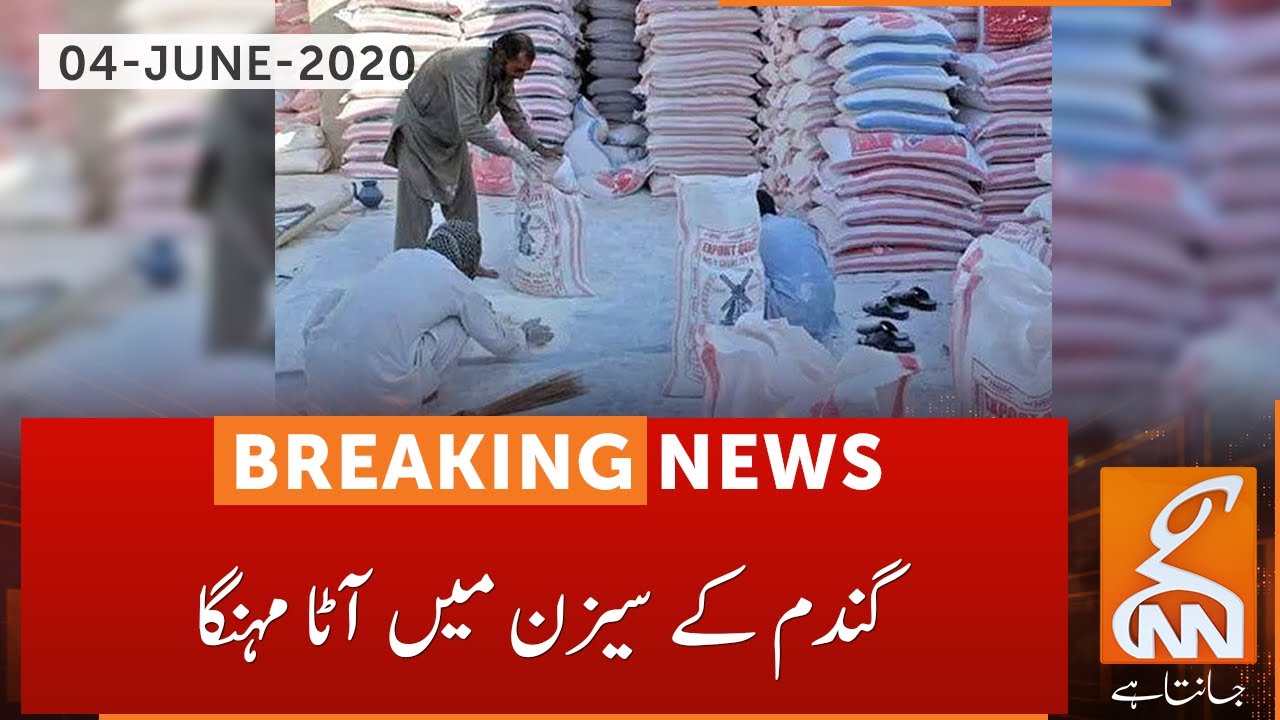 Flour prices go up, Know what Chairman Mills Association has to say