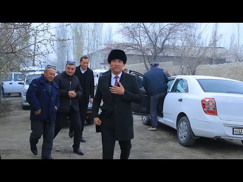 ZIYO MEDIA xonadonida