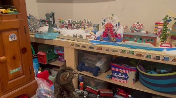 My cat loves watching my Tomy/Trackmaster/ Plarail engines run