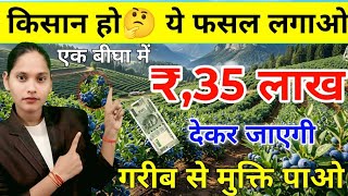यह फसल भारत के किसानों को बना रही है करोड़पति ,एक बार लगाओ 10 साल पैसा पाओ