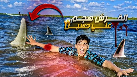 روحنا جزيره مائيه مرعبه😱 القرش هجم على حسين 💔( انهيار بكاء )😢