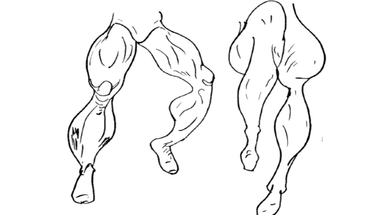 Mastering Muscular Legs Drawing Techniques StepbyStep Tutorial for