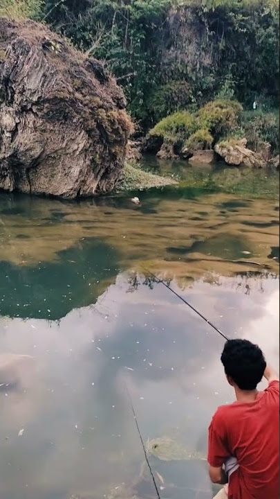 Story wa mancing emosi #tiktok #misuh #bajingan kadungpedot#