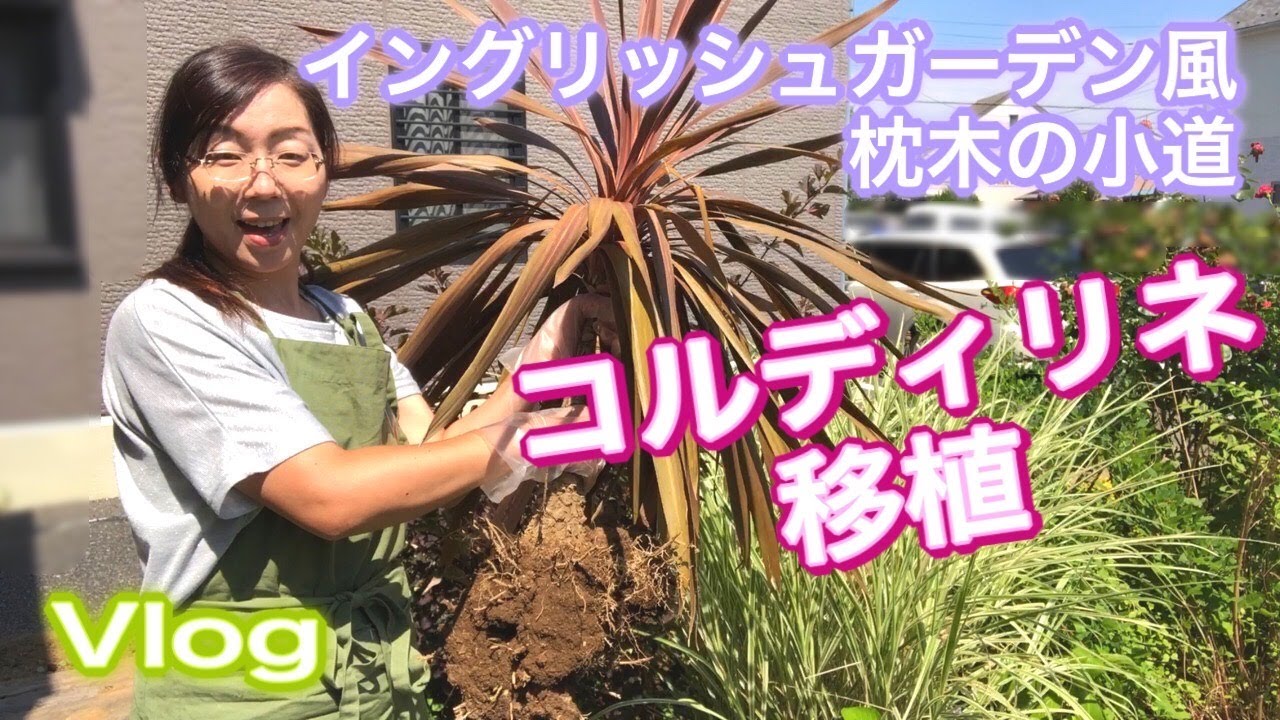 イングリッシュガーデン風！枕木の小道〜コルディリネの移植【vlog】