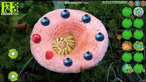 Mushroom Forest Adventure Video Walkthrough