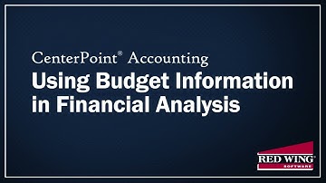 Using Budget Information in Financial Analysis