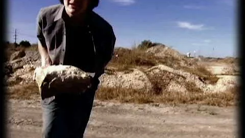 Rocks