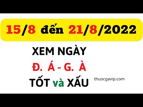 Màu Mạng Gà Đá Hôm Nay - Xem Ngày DA Gà 15/8/2022 đến 21/8/2022 (Màu Mệnh VLOG)