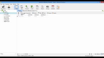 laravel 4 migration   enum for published or not published value