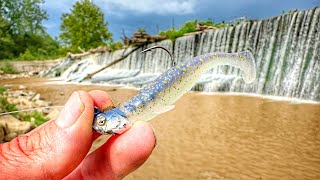 After 15 YEARS I Finally Caught A SPILLWAY MONSTER HERE!!!