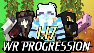 Minecraft 1.17 World Record Progression | Day 1