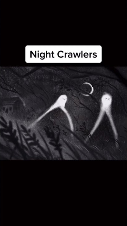Scariest Urban Legend From Around the World🌎