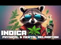 Indica physical  mental relaxation  high dope raccoon smoke weed and listen space lofi chill music