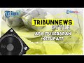 Getting to Know the Ketupat Lebaran Tradition a Week After Eid al-Fitr
