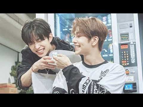 SeokWoo ✨DuMB \u0026 DUmBeR✨ Moments | DUO #3