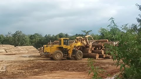 monitoring kegiatan susun kayu log di logpon matan menggunakan loader WA500 komatsu. #juankztech