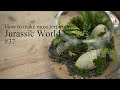 苔テラリウムで作るジュラシックワールドの世界【作り方】｜How to make moss terrarium”Jurassic World”#37