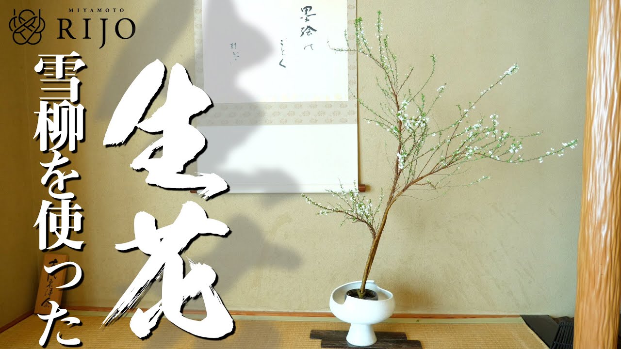 雪柳の生花 せいか の実演 美しい伝統的な古流生花をご紹介します Ikebana 生け花レッスン Youtube 雪柳の生花 せいか の実演 美しい伝統的な古流生花をご紹介します Ikebana 生け花レッスン Youtube