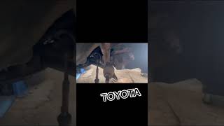 Toyota Вот И Сняли Это Чудо!