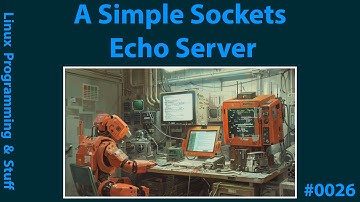 #0026 - Simple sockets echo server
