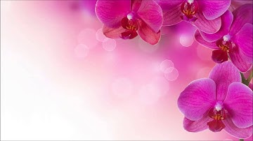 سورة عبس كاملة - الشيخ احمد العجمي