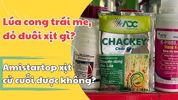 Lúa cong trái me, đỏ đuôi xịt thuốc gì? Tiết kiệm mà có năng suất