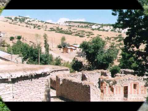 BeRi2147-BIR DEGIL YAREM YAREM