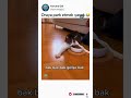 Adam ne güzel söyledi la öyle