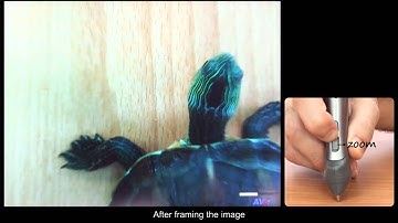 Máy chiếu vật thể AVerVision M70