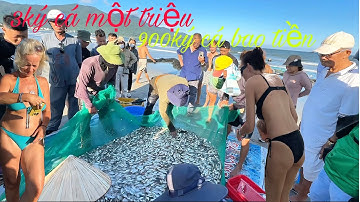 Một Triệu 2 Bao Cá - 1000 Bao Cá Bao Nhiêu Tiền ? Nghề Đánh Cá Ven Biển