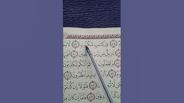 Surah Al-Waqi’ah (56:78–79) | Only the Pure May Touch It | سورة الواقعة – Ibrahim Sobhi