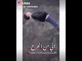 اني من انجرح گلبي وجرحي ماضنة يطيب اني من انجرح گلبي وجرحي ماضنة يطيب