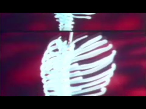 oxela. - Jiaozi
