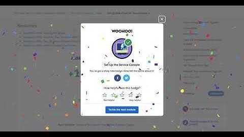 Set Up Web Chats for Your Console | Set Up the Service Console | Salesforce | Project