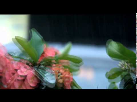 اللهم أغثنا