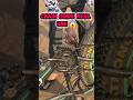 CHAIN GUIDE REAL USE 😱 #chain #abhimtb1 #shorts #trending #funny #ytshorts #indianbikesd #cycling