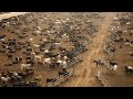 American Ranchers Raise 30 1 Million Beef Cattle This Way American Cow Farm 